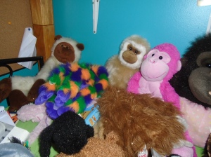 My monkeys